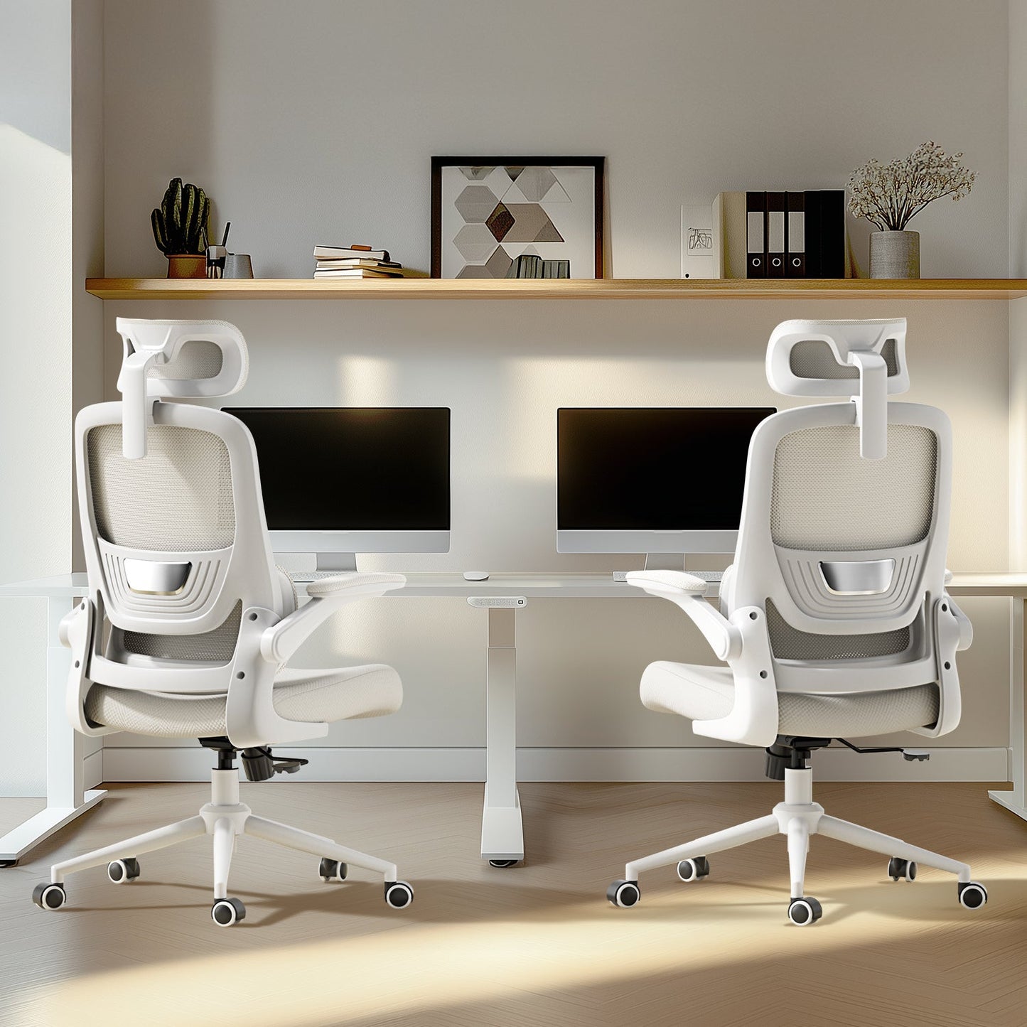 HBADA P1 Ergonomic Office Chair
