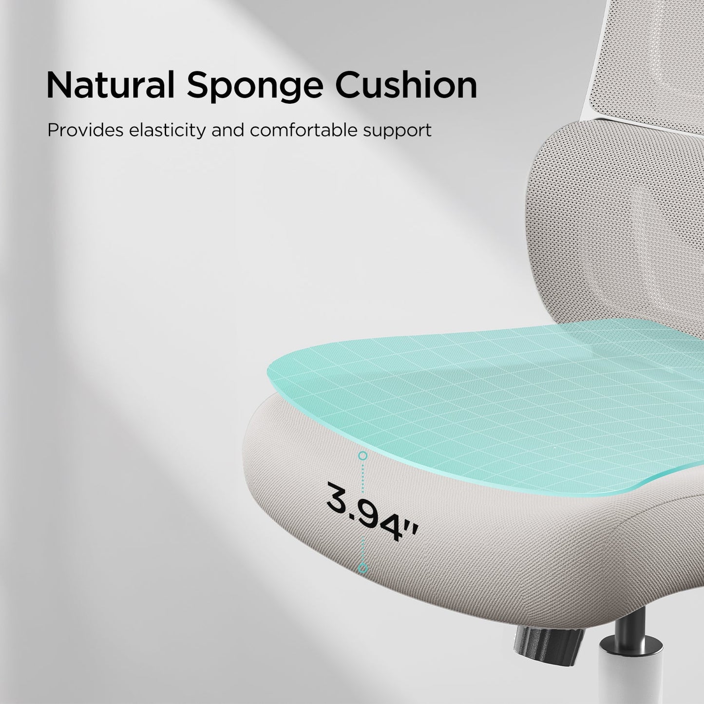 HBADA P1 Ergonomic Office Chair