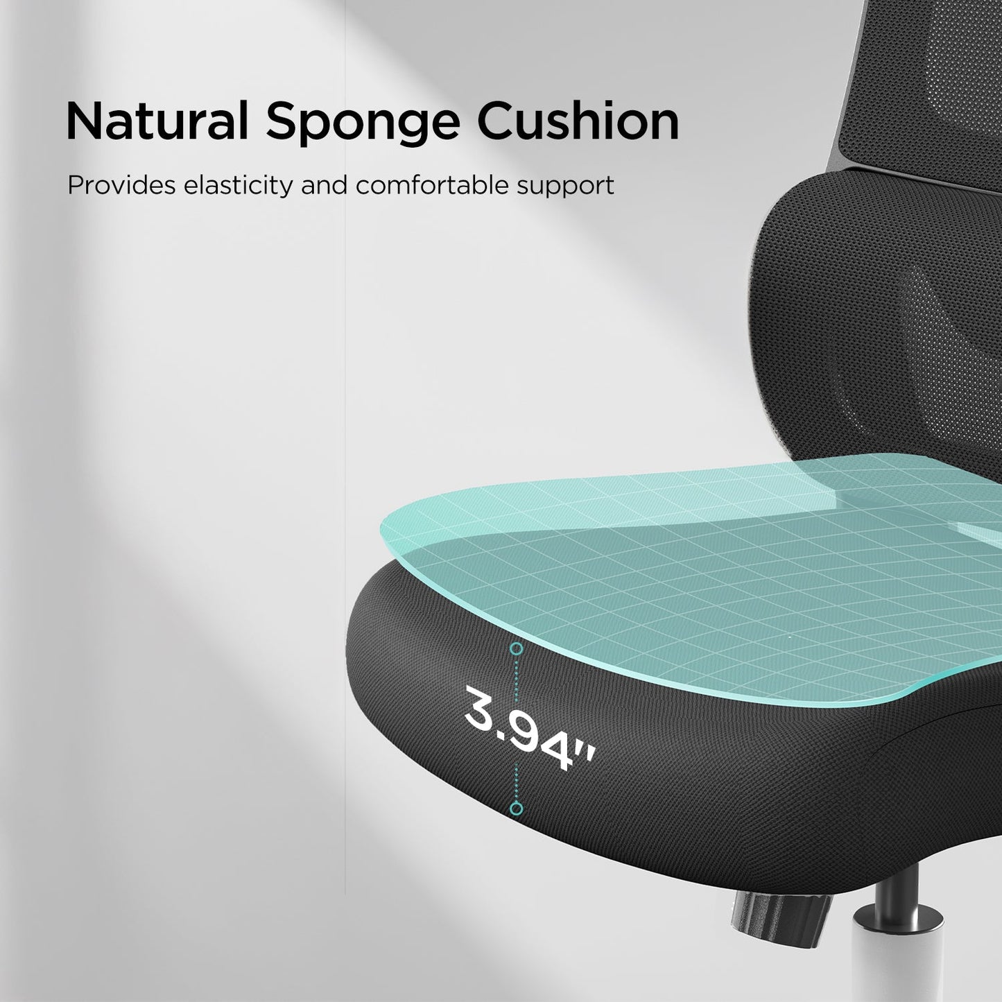 HBADA P1 Ergonomic Office Chair