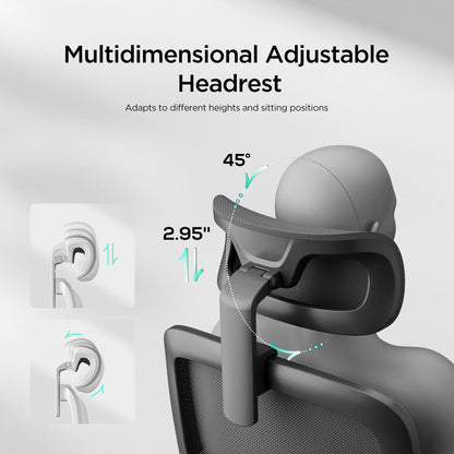 HBADA P1 Ergonomic Office Chair