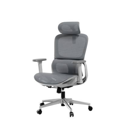 HBADA P2 Air Ergonomic Office Chair