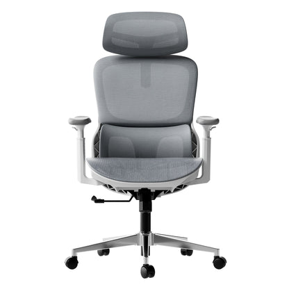 HBADA P2 Office Chair, Desk Chair with Adjustable Lumbar Support