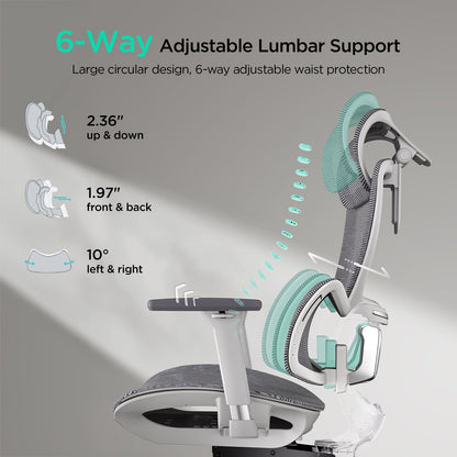 HBADA E2 Pro Ergonomic Office Chair without Footrest