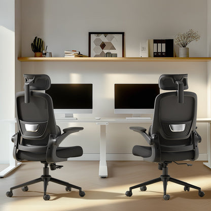 HBADA P1 Ergonomic Office Chair