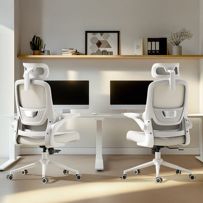 HBADA P1 Ergonomic Office Chair