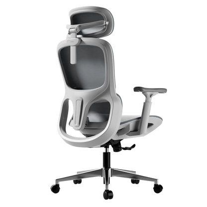 HBADA P2 Office Chair, Desk Chair with Adjustable Lumbar Support