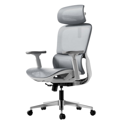 HBADA P2 Office Chair, Desk Chair with Adjustable Lumbar Support
