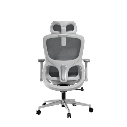 HBADA P2 Air Ergonomic Office Chair