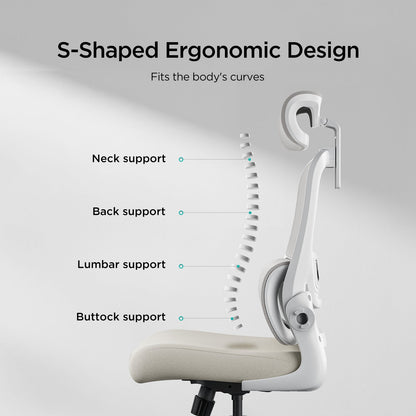 HBADA P1 Ergonomic Office Chair