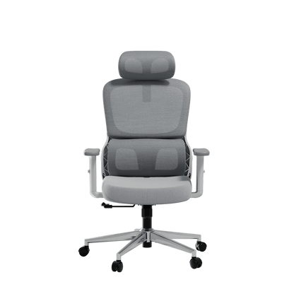 HBADA P2 Air Ergonomic Office Chair