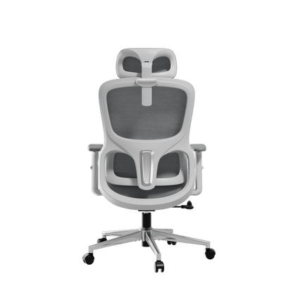 HBADA P2 Air Ergonomic Office Chair